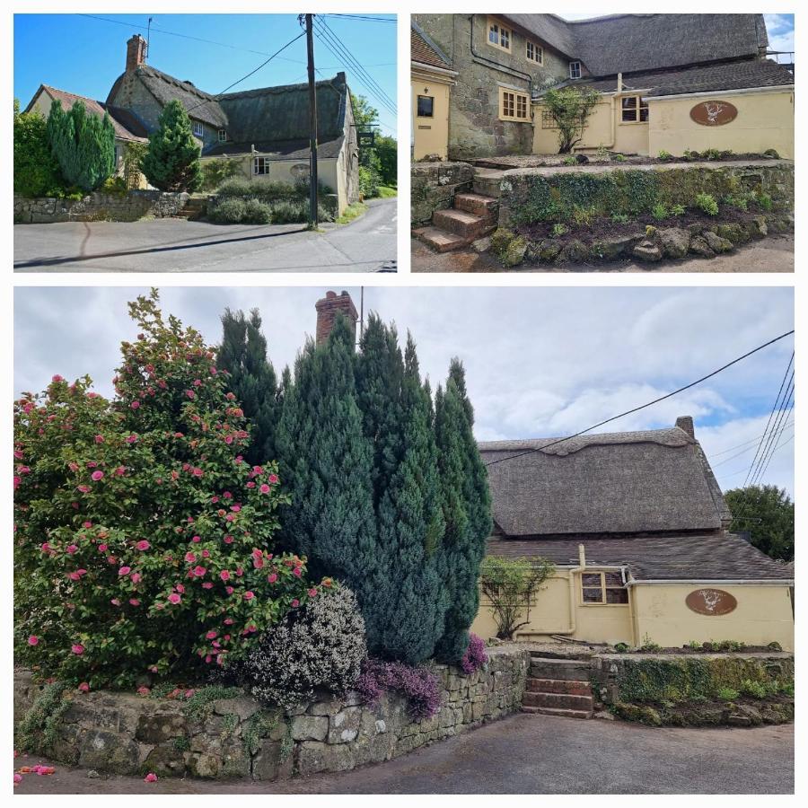 The Forester Shaftesbury Exterior foto